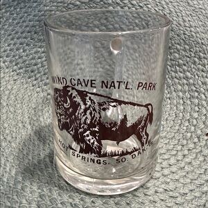 Wind Cave National Park Hot Springs South Dakota souvenir glass beer mug
